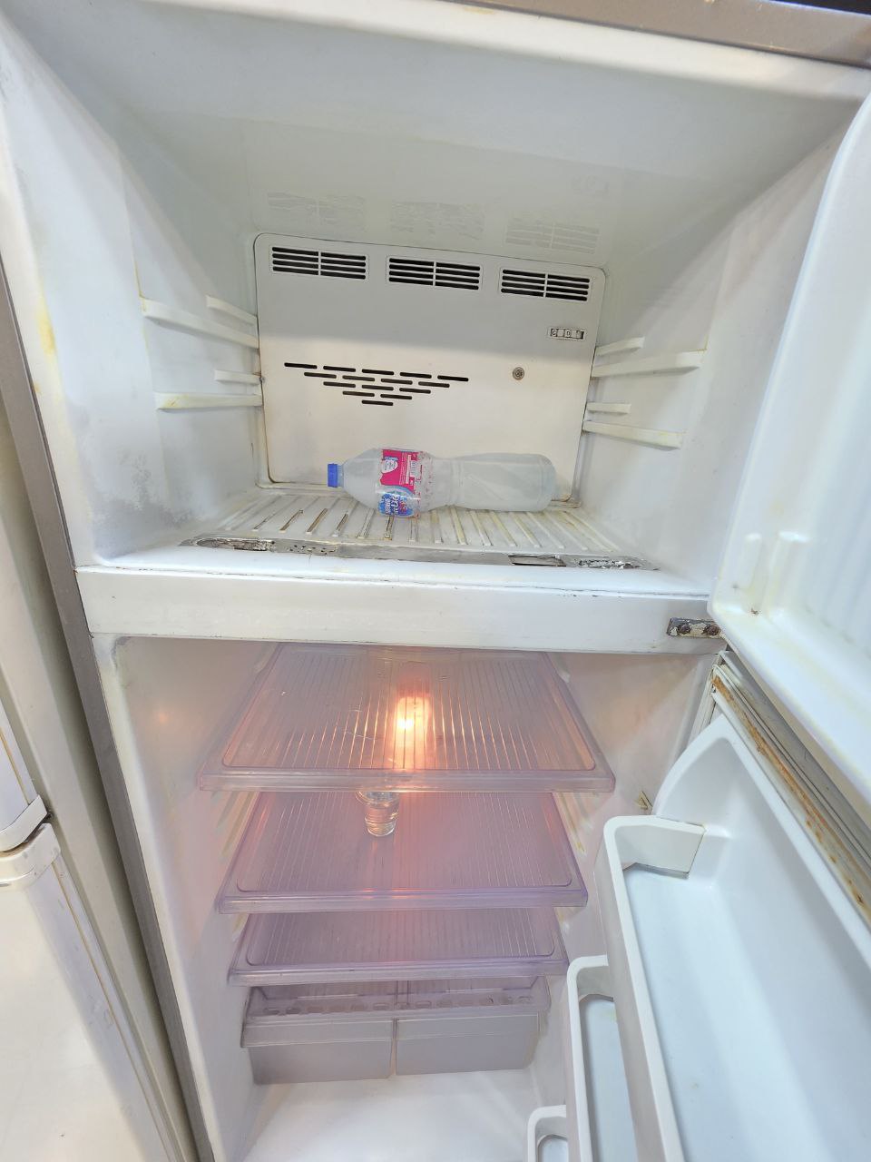 كود 4254
تلاجه كريازي 14 نوفروست. 
ضمان 3 شهور