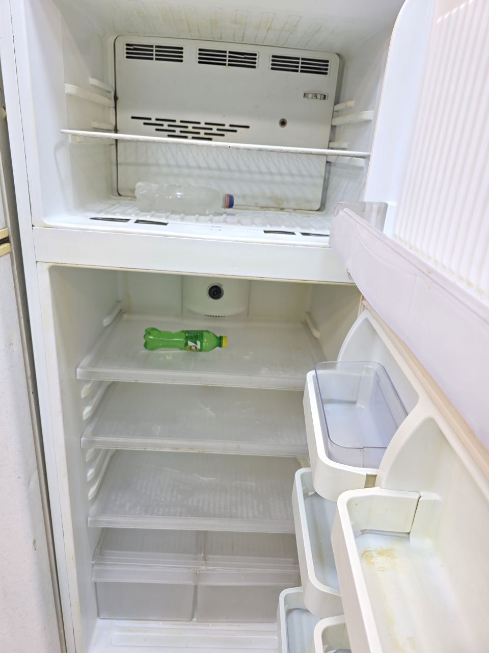 كود 4384
3شهور
تلاجه  كريازي 14 نوفروست